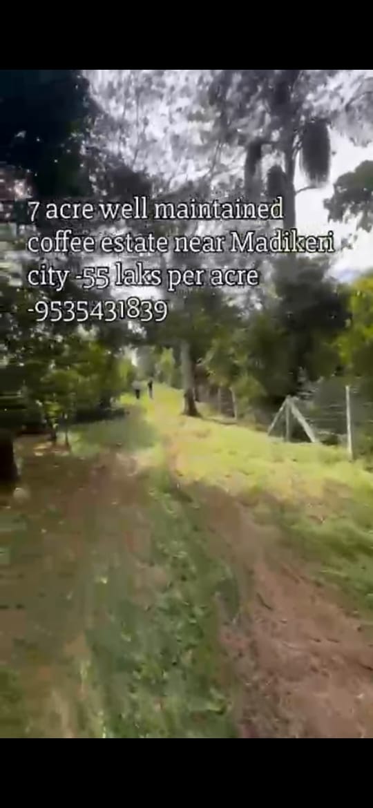 *property id 5179*  🆔 *Exclusive 7 Acre Premium Coffee Estate – Near Madikeri*